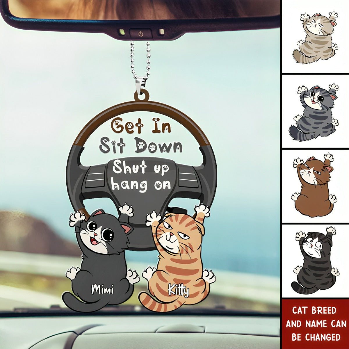 Funny Cat Personalized Gifts For Cat Lover Car Ornament