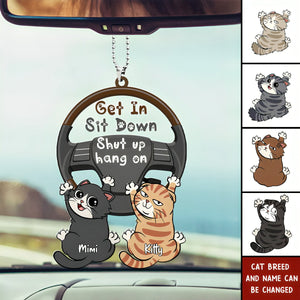 Funny Cat Personalized Gifts For Cat Lover Car Ornament
