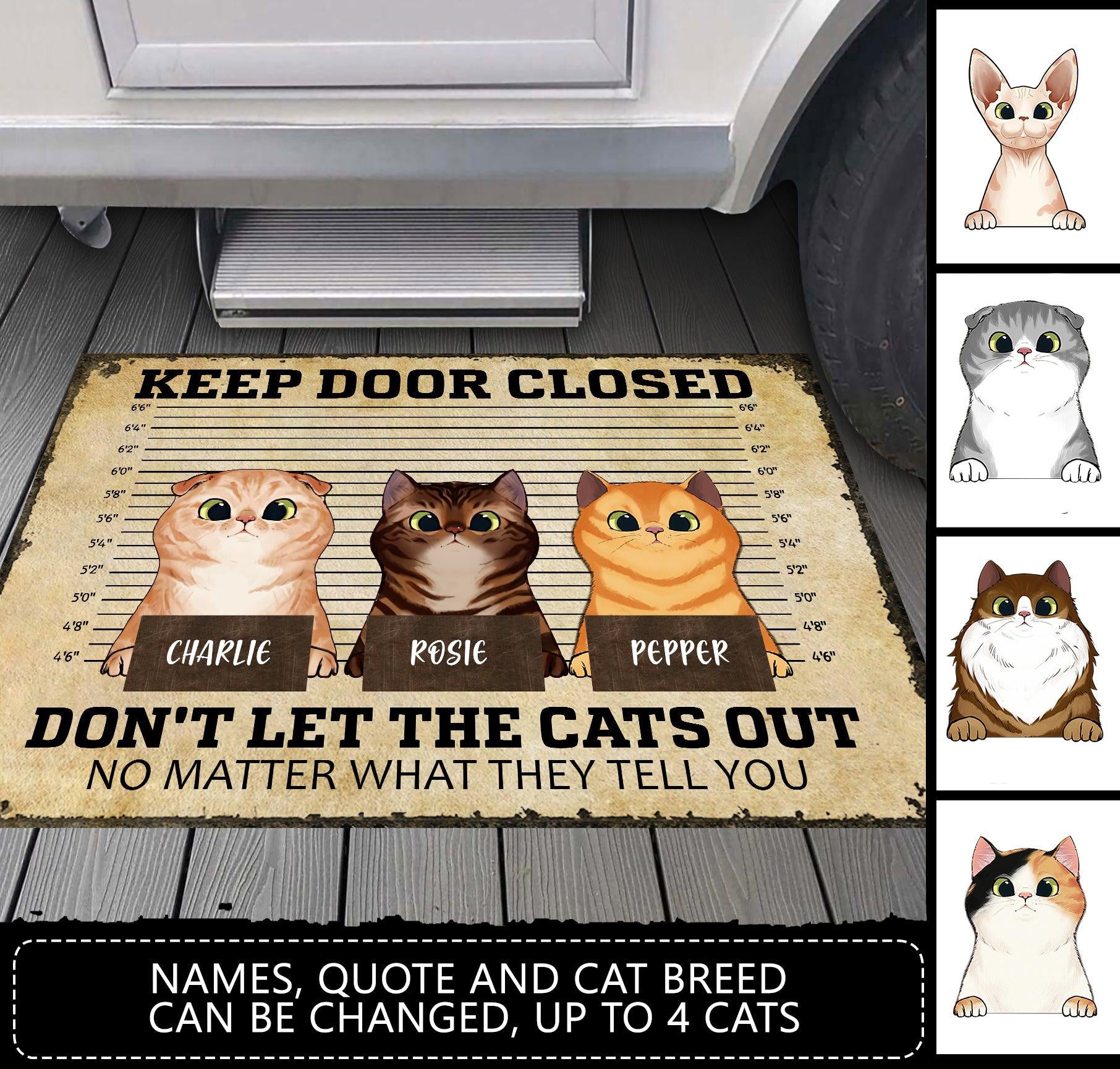 Don't Let The Cat Out Personalized Doormat, Personalized Gift for Cat Lovers, Cat Mom, Cat Dad