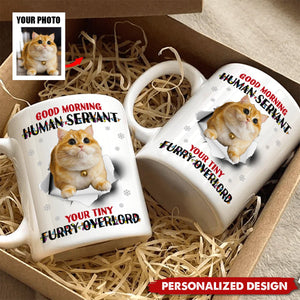 Good Morning Human Funny Style Christmas - Personalized Photo Mug