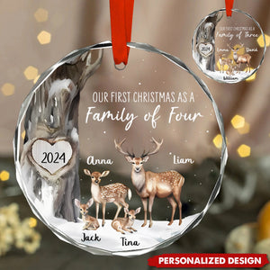 Our First Christmas As A Family Of Three/Four -Personalized Glass Ornaments