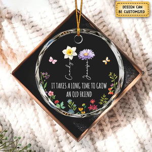 Personalized Best Friends Christmas Ornament, It Takes A Long Time To Grow An Old Friend